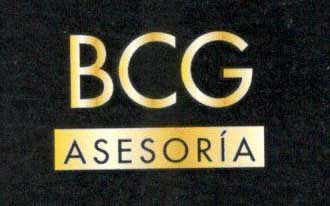 bcg-asesoria